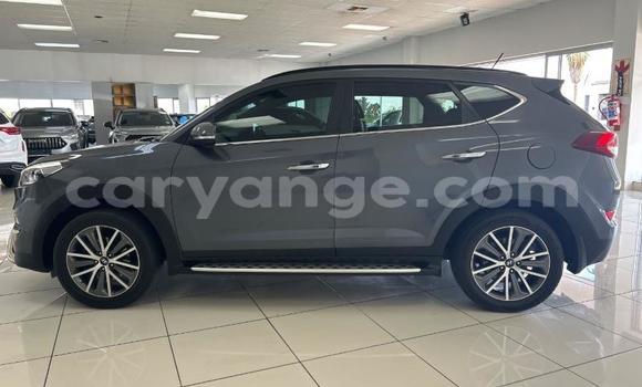 Buy Used Hyundai Tucson Silver Car in Windhoek in Namibia Buy Used Hyundai Tucson Silver Car in Windhoek in Namibia