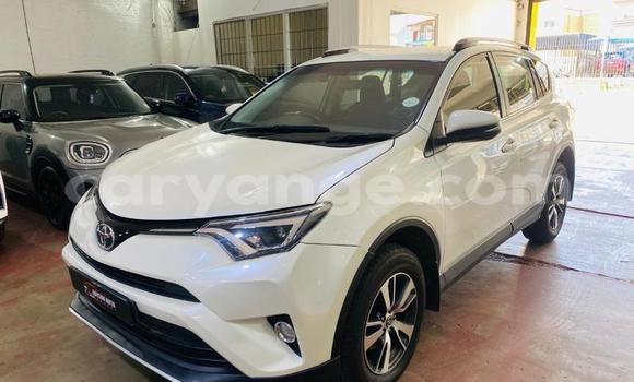 Buy Used Toyota RAV4 White Car in Windhoek in Namibia Buy Used Toyota RAV4 White Car in Windhoek in Namibia
