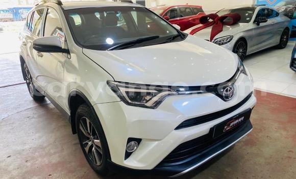 Buy Used Toyota RAV4 White Car in Windhoek in Namibia Buy Used Toyota RAV4 White Car in Windhoek in Namibia
