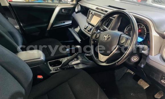 Buy Used Toyota RAV4 White Car in Windhoek in Namibia Buy Used Toyota RAV4 White Car in Windhoek in Namibia