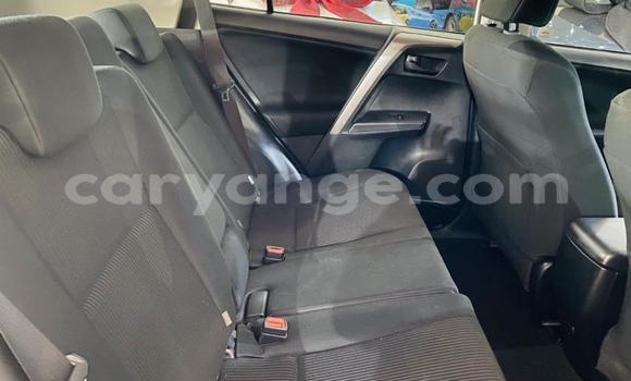 Buy Used Toyota RAV4 White Car in Windhoek in Namibia Buy Used Toyota RAV4 White Car in Windhoek in Namibia