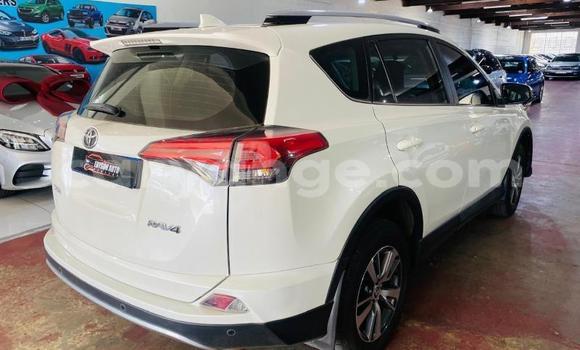 Buy Used Toyota RAV4 White Car in Windhoek in Namibia Buy Used Toyota RAV4 White Car in Windhoek in Namibia