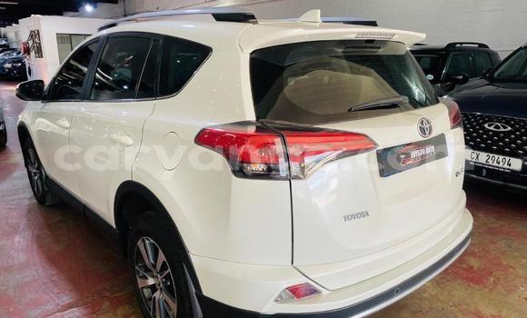 Buy Used Toyota RAV4 White Car in Windhoek in Namibia Buy Used Toyota RAV4 White Car in Windhoek in Namibia