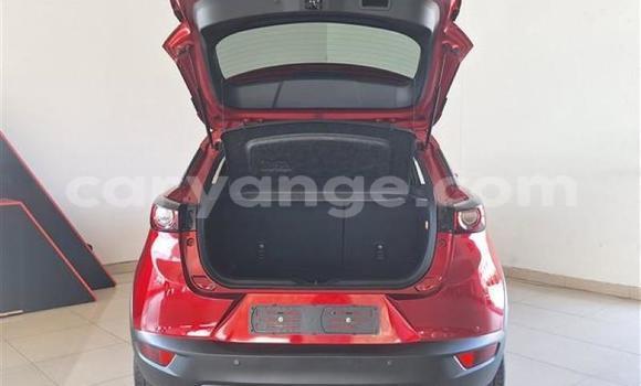 Buy Used Mazda CX–3 Red Car in Windhoek in Namibia Buy Used Mazda CX–3 Red Car in Windhoek in Namibia