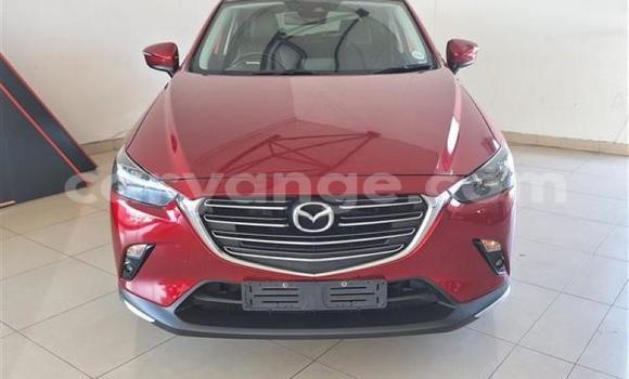 Buy Used Mazda CX–3 Red Car in Windhoek in Namibia Buy Used Mazda CX–3 Red Car in Windhoek in Namibia