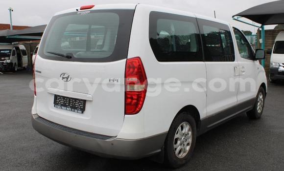Buy Used Hyundai H1 White Car in Windhoek in Namibia Buy Used Hyundai H1 White Car in Windhoek in Namibia
