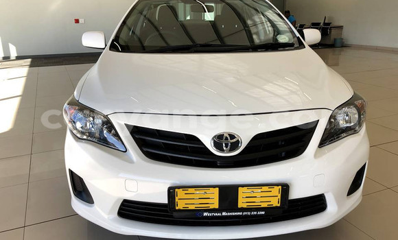 Buy Used Toyota Corolla White Car in Windhoek in Namibia