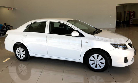 Buy Used Toyota Corolla White Car in Windhoek in Namibia Buy Used Toyota Corolla White Car in Windhoek in Namibia