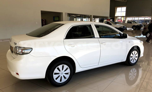 Buy Used Toyota Corolla White Car in Windhoek in Namibia Buy Used Toyota Corolla White Car in Windhoek in Namibia