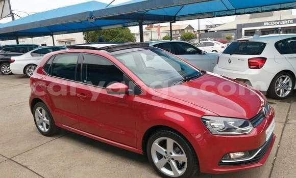 Buy Used Volkswagen Polo Red Car in Windhoek in Namibia Buy Used Volkswagen Polo Red Car in Windhoek in Namibia