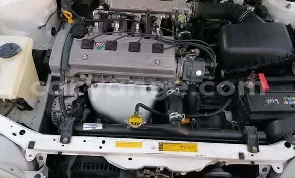 Buy Used Toyota Corolla Other Car in Windhoek in Namibia