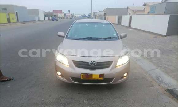 Buy Used Toyota Corolla Other Car in Windhoek in Namibia