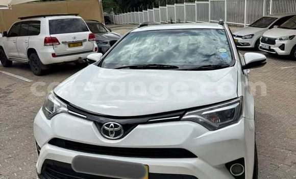 Buy Used Toyota RAV4 White Car in Windhoek in Namibia