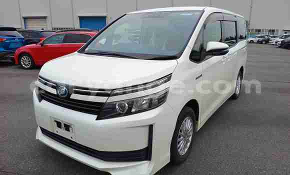 Buy Used Toyota Voxy White Car in Windhoek in Namibia