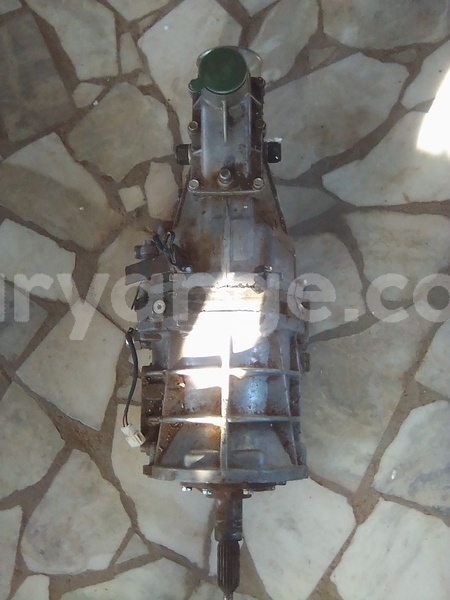 Big with watermark img 20250428 090852