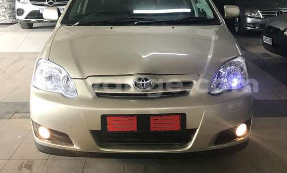 Buy Used Toyota Runx Brown Car in Gobabis in Omaheke