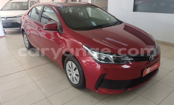 Buy Used Toyota Corolla Red Car in Gobabis in Omaheke