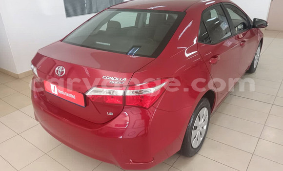 Buy Used Toyota Corolla Red Car in Gobabis in Omaheke Buy Used Toyota Corolla Red Car in Gobabis in Omaheke
