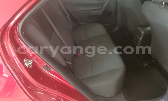 Buy Used Toyota Corolla Red Car in Gobabis in Omaheke Buy Used Toyota Corolla Red Car in Gobabis in Omaheke