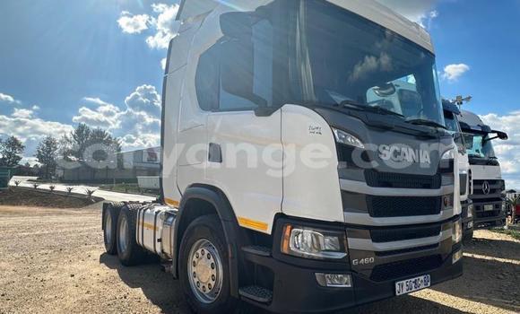 Buy Used Scania R470 White Truck in Gobabis in Omaheke