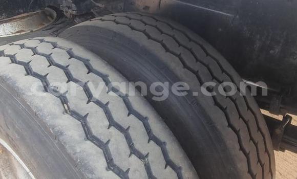 Buy Used Isuzu FTR 850 White Truck in Windhoek in Namibia Buy Used Isuzu FTR 850 White Truck in Windhoek in Namibia