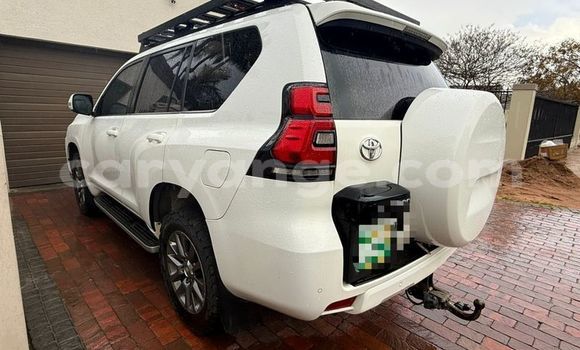 Buy Used Toyota Land Cruiser Prado White Car in Windhoek in Namibia Buy Used Toyota Land Cruiser Prado White Car in Windhoek in Namibia