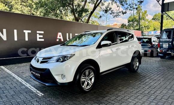 Buy Used Toyota RAV4 White Car in Windhoek in Namibia