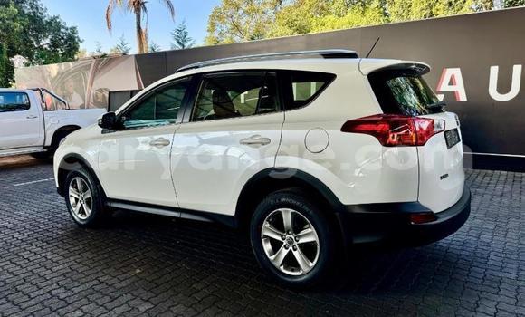 Buy Used Toyota RAV4 White Car in Windhoek in Namibia Buy Used Toyota RAV4 White Car in Windhoek in Namibia