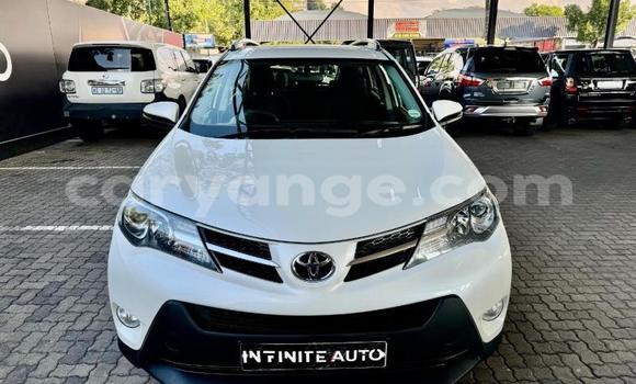Buy Used Toyota RAV4 White Car in Windhoek in Namibia Buy Used Toyota RAV4 White Car in Windhoek in Namibia