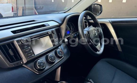 Buy Used Toyota RAV4 White Car in Windhoek in Namibia Buy Used Toyota RAV4 White Car in Windhoek in Namibia