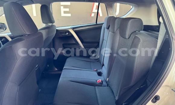 Buy Used Toyota RAV4 White Car in Windhoek in Namibia Buy Used Toyota RAV4 White Car in Windhoek in Namibia