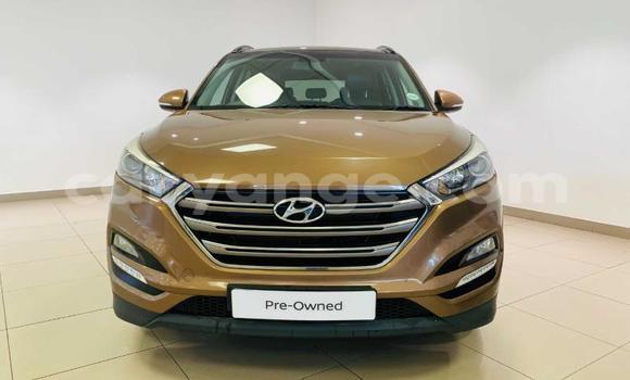 Buy Used Hyundai Tucson Beige Car in Windhoek in Namibia