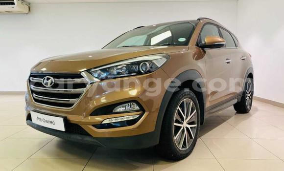 Buy Used Hyundai Tucson Beige Car in Windhoek in Namibia Buy Used Hyundai Tucson Beige Car in Windhoek in Namibia