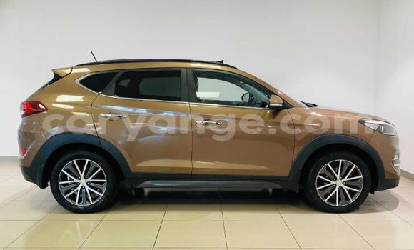 Buy Used Hyundai Tucson Beige Car in Windhoek in Namibia Buy Used Hyundai Tucson Beige Car in Windhoek in Namibia