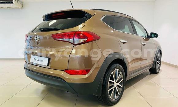 Buy Used Hyundai Tucson Beige Car in Windhoek in Namibia Buy Used Hyundai Tucson Beige Car in Windhoek in Namibia