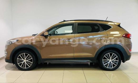 Buy Used Hyundai Tucson Beige Car in Windhoek in Namibia Buy Used Hyundai Tucson Beige Car in Windhoek in Namibia