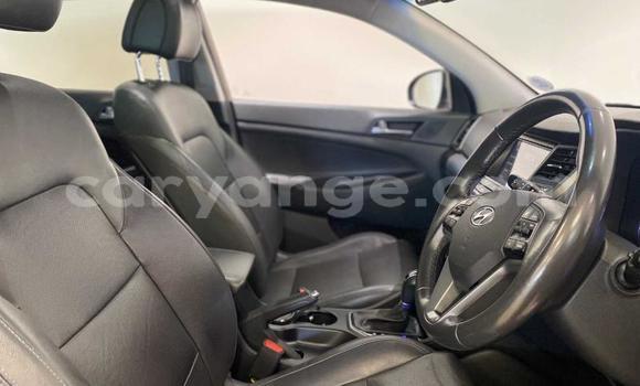 Buy Used Hyundai Tucson Beige Car in Windhoek in Namibia Buy Used Hyundai Tucson Beige Car in Windhoek in Namibia