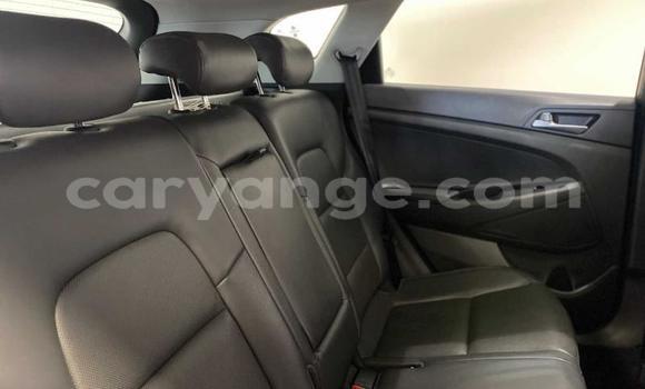 Buy Used Hyundai Tucson Beige Car in Windhoek in Namibia Buy Used Hyundai Tucson Beige Car in Windhoek in Namibia
