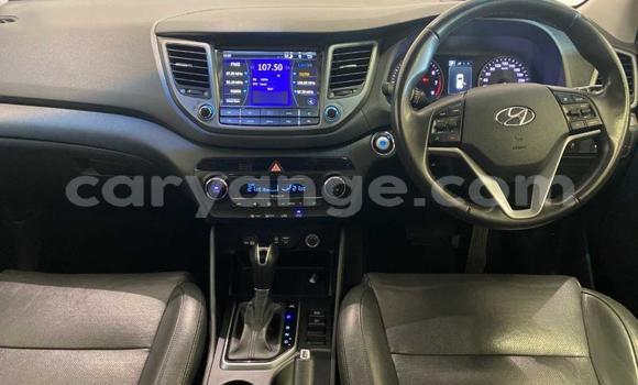 Buy Used Hyundai Tucson Beige Car in Windhoek in Namibia Buy Used Hyundai Tucson Beige Car in Windhoek in Namibia
