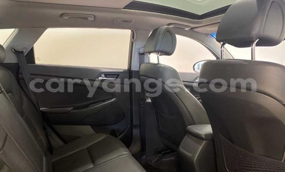 Buy Used Hyundai Tucson Beige Car in Windhoek in Namibia Buy Used Hyundai Tucson Beige Car in Windhoek in Namibia