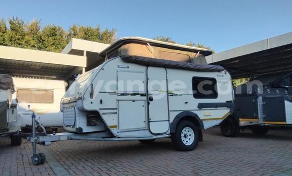 Medium with watermark crop800x600 3390 