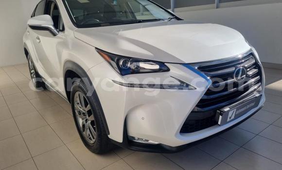 Buy Used Lexus NX White Car in Gobabis in Omaheke