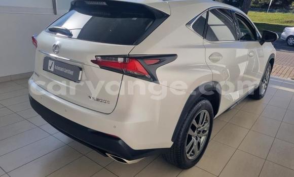 Acheter Occasion Voiture Lexus NX Blanc à Gobabis, Omaheke Acheter Occasion Voiture Lexus NX Blanc à Gobabis, Omaheke