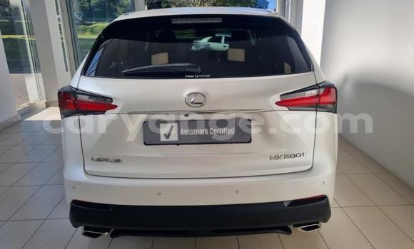 Acheter Occasion Voiture Lexus NX Blanc à Gobabis, Omaheke Acheter Occasion Voiture Lexus NX Blanc à Gobabis, Omaheke