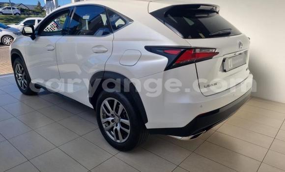 Acheter Occasion Voiture Lexus NX Blanc à Gobabis, Omaheke Acheter Occasion Voiture Lexus NX Blanc à Gobabis, Omaheke