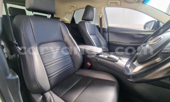 Acheter Occasion Voiture Lexus NX Blanc à Gobabis, Omaheke Acheter Occasion Voiture Lexus NX Blanc à Gobabis, Omaheke