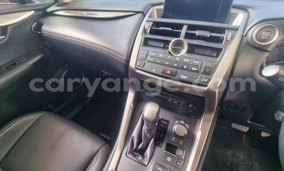 Acheter Occasion Voiture Lexus NX Blanc à Gobabis, Omaheke Acheter Occasion Voiture Lexus NX Blanc à Gobabis, Omaheke