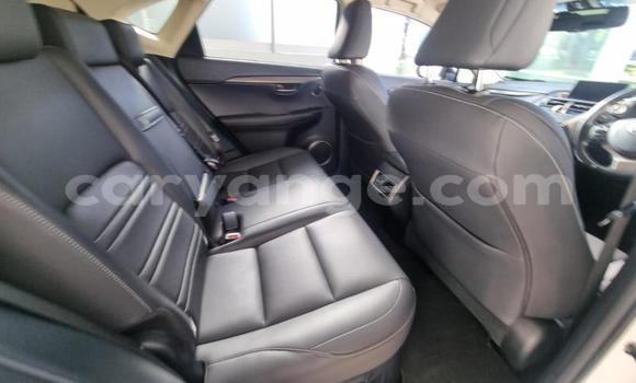 Acheter Occasion Voiture Lexus NX Blanc à Gobabis, Omaheke Acheter Occasion Voiture Lexus NX Blanc à Gobabis, Omaheke