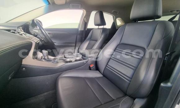 Acheter Occasion Voiture Lexus NX Blanc à Gobabis, Omaheke Acheter Occasion Voiture Lexus NX Blanc à Gobabis, Omaheke