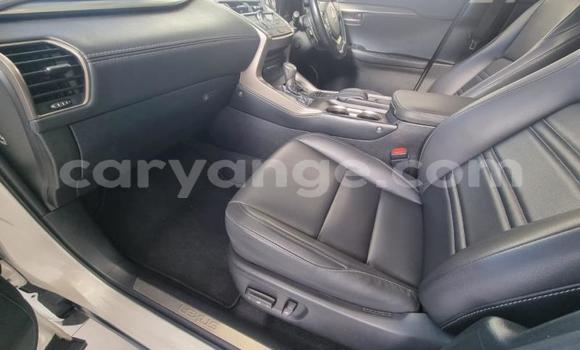 Acheter Occasion Voiture Lexus NX Blanc à Gobabis, Omaheke Acheter Occasion Voiture Lexus NX Blanc à Gobabis, Omaheke